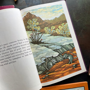 A Serendipity Book Set written by Stephen Cosgrove with illustrations by Robin James-1980s children's books-vintage picture books-view of the illustrations