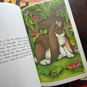 A Serendipity Book Set written by Stephen Cosgrove with illustrations by Robin James-1980s children's books-vintage picture books-view of the illustrations