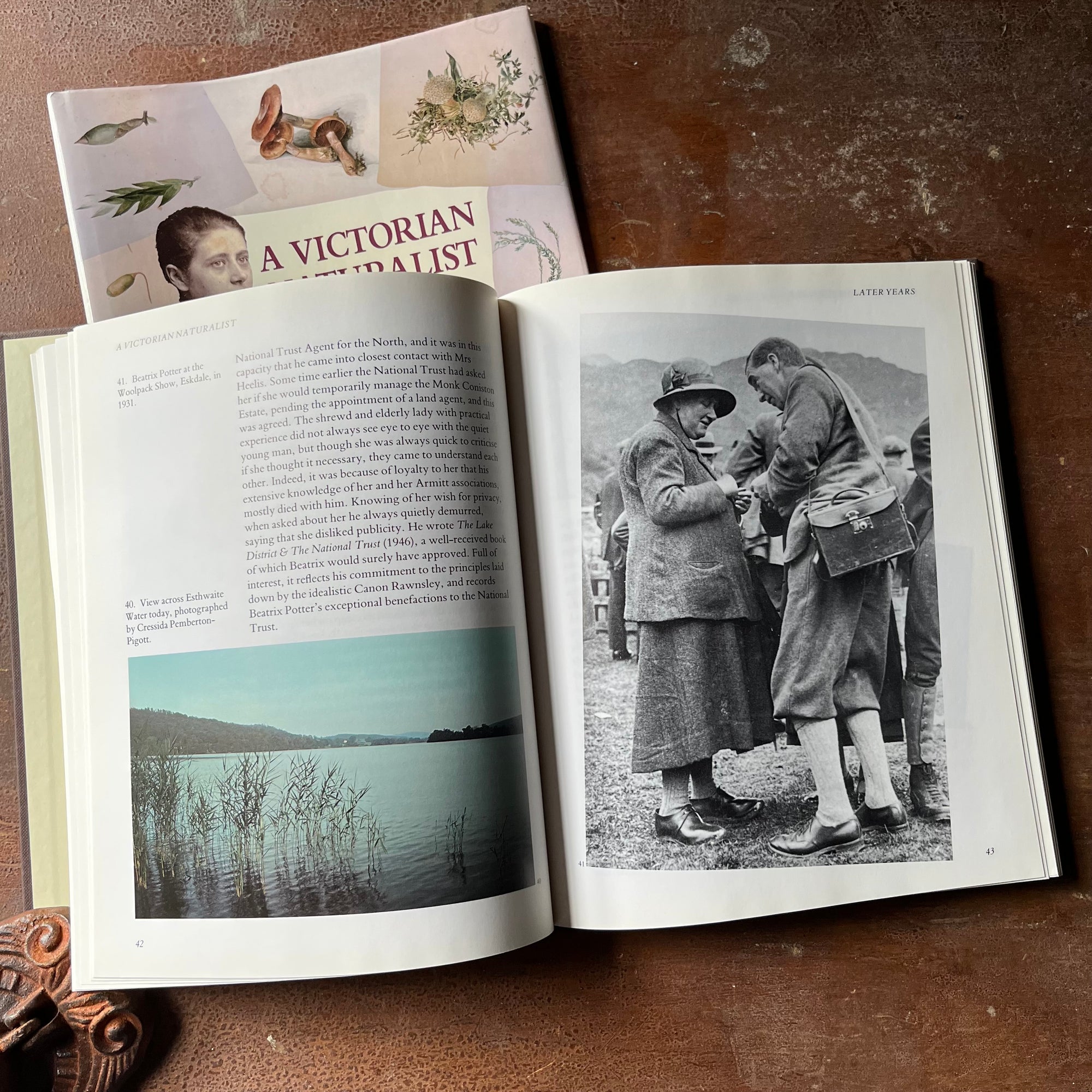 nature sketchbook, Victorian Era, Victorian England, Beatrix Potter Sketches - A Victorian Naturalist Beatrix Potter's Drawings from the Armitt Collection - view of the photographs