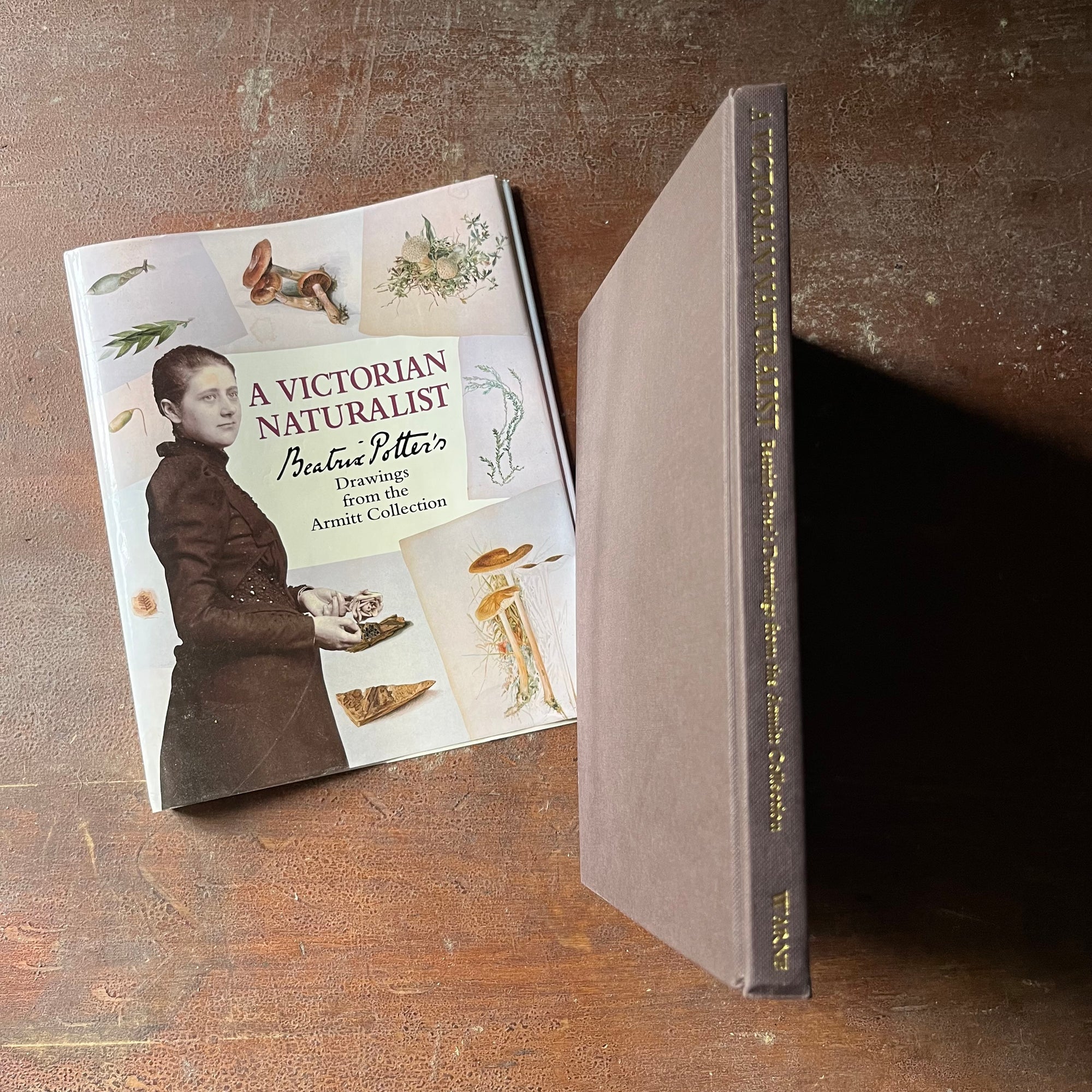 nature sketchbook, Victorian Era, Victorian England, Beatrix Potter Sketches - A Victorian Naturalist Beatrix Potter's Drawings from the Armitt Collection - view of the spine
