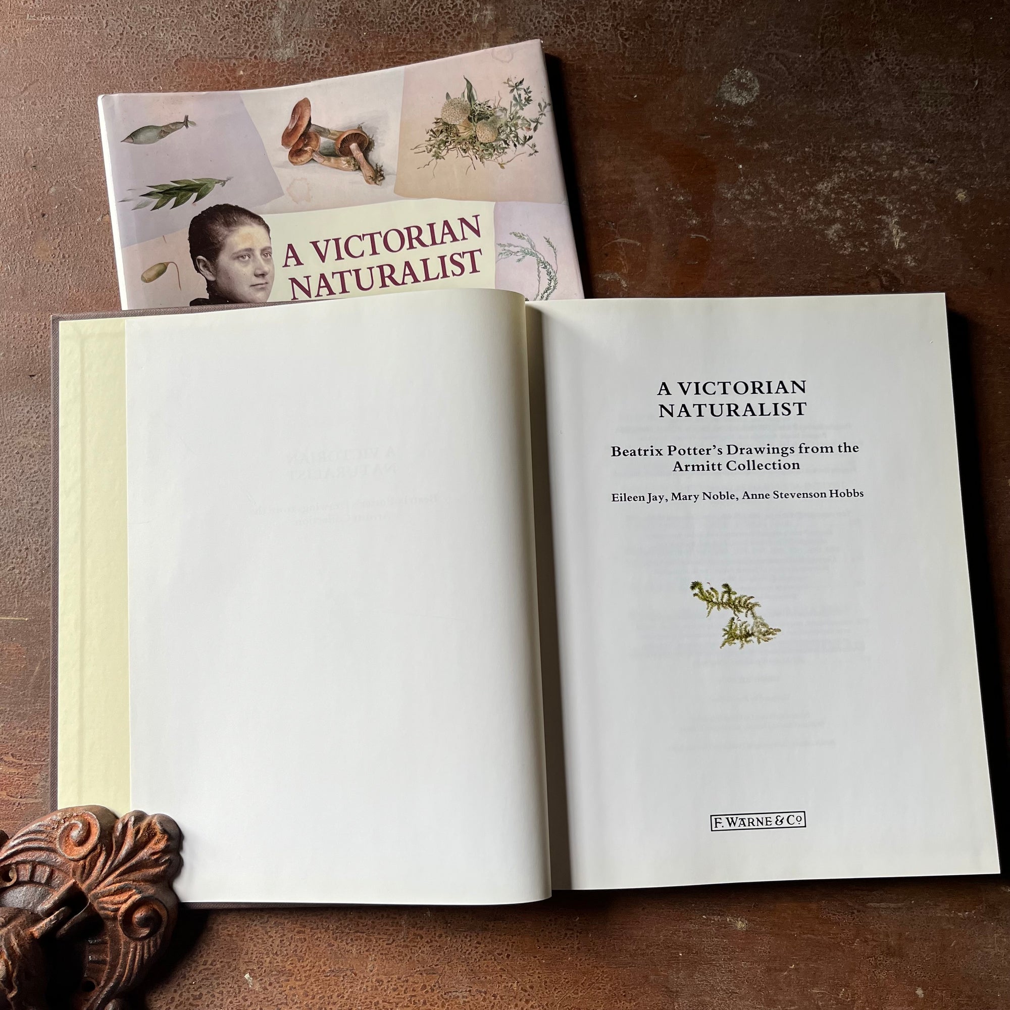 nature sketchbook, Victorian Era, Victorian England, Beatrix Potter Sketches - A Victorian Naturalist Beatrix Potter's Drawings from the Armitt Collection - view of the title page
