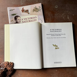 nature sketchbook, Victorian Era, Victorian England, Beatrix Potter Sketches - A Victorian Naturalist Beatrix Potter's Drawings from the Armitt Collection - view of the title page