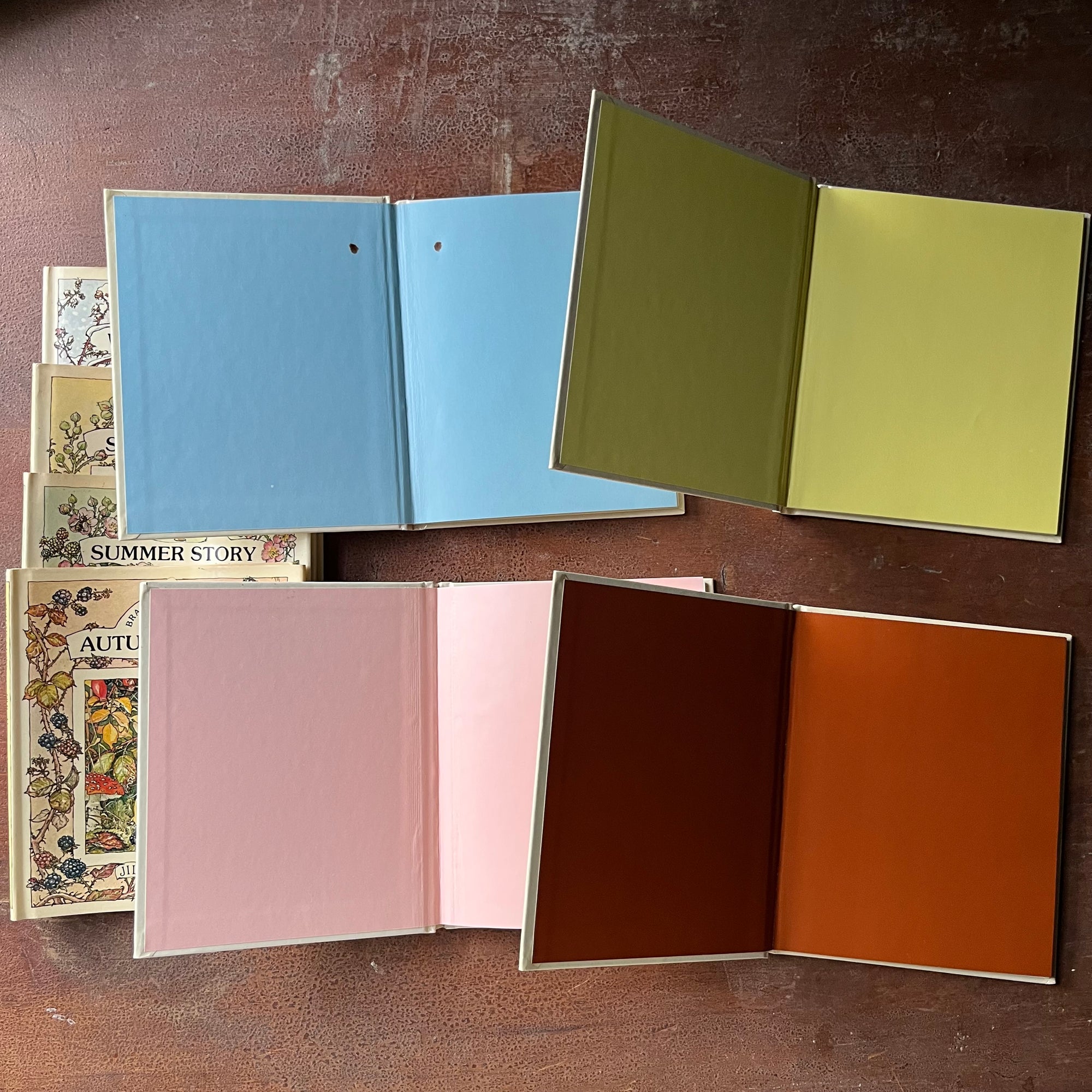 vintage children's short stories, vintage picture books - A Year in Brambly Hedge Book Set stories and illustrations by Jill Barklem-Spring Story, Summer Story, Autumn Story & Winter Story - view of the inside covers in bright colors for each season