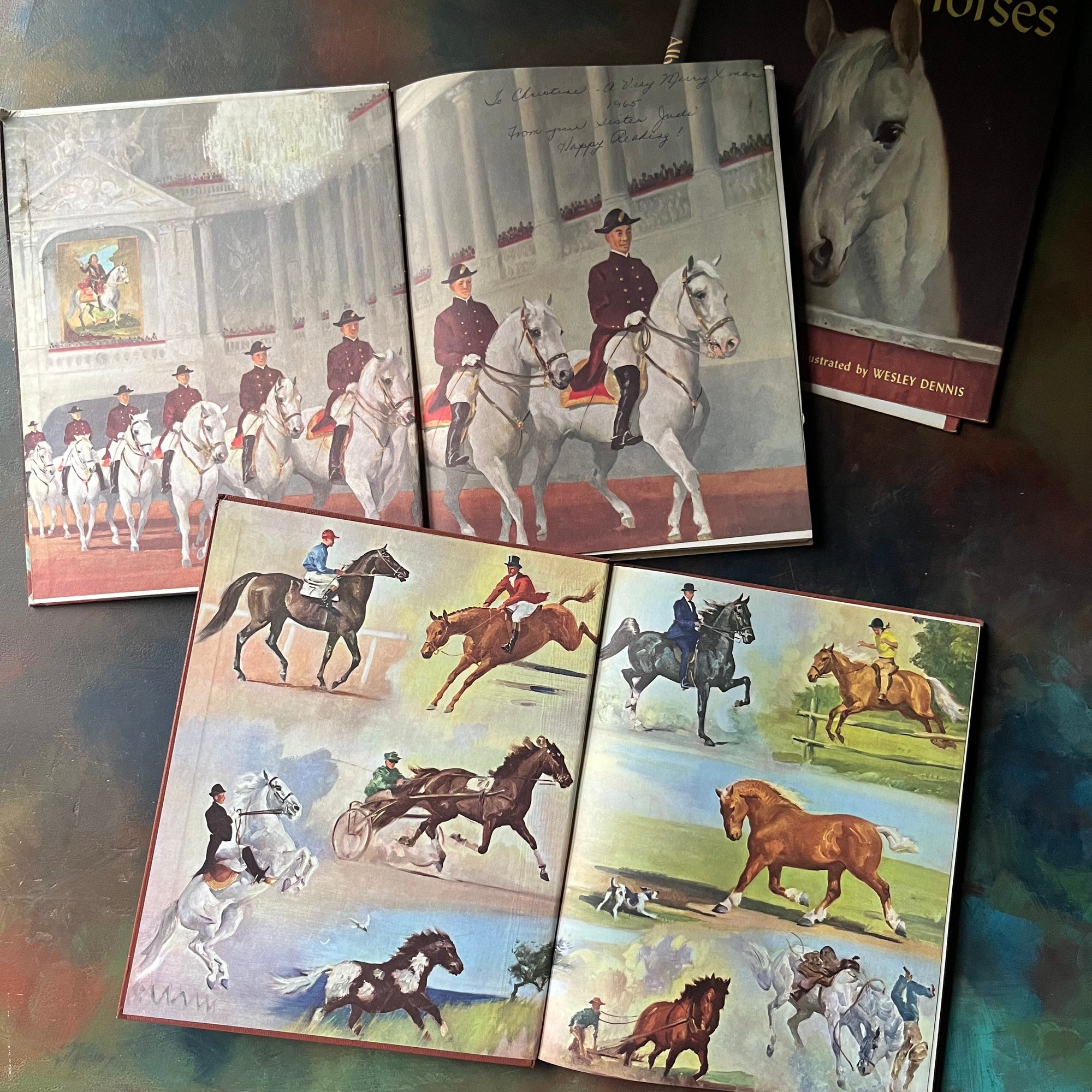 Album of Horses and White Stallion of Lipizza by Marguerite Henry-illustrated by Wesley Dennis-vintage horse books for kids-view of the inside covers - note the inscription inside of White Stallion of Lipizza
