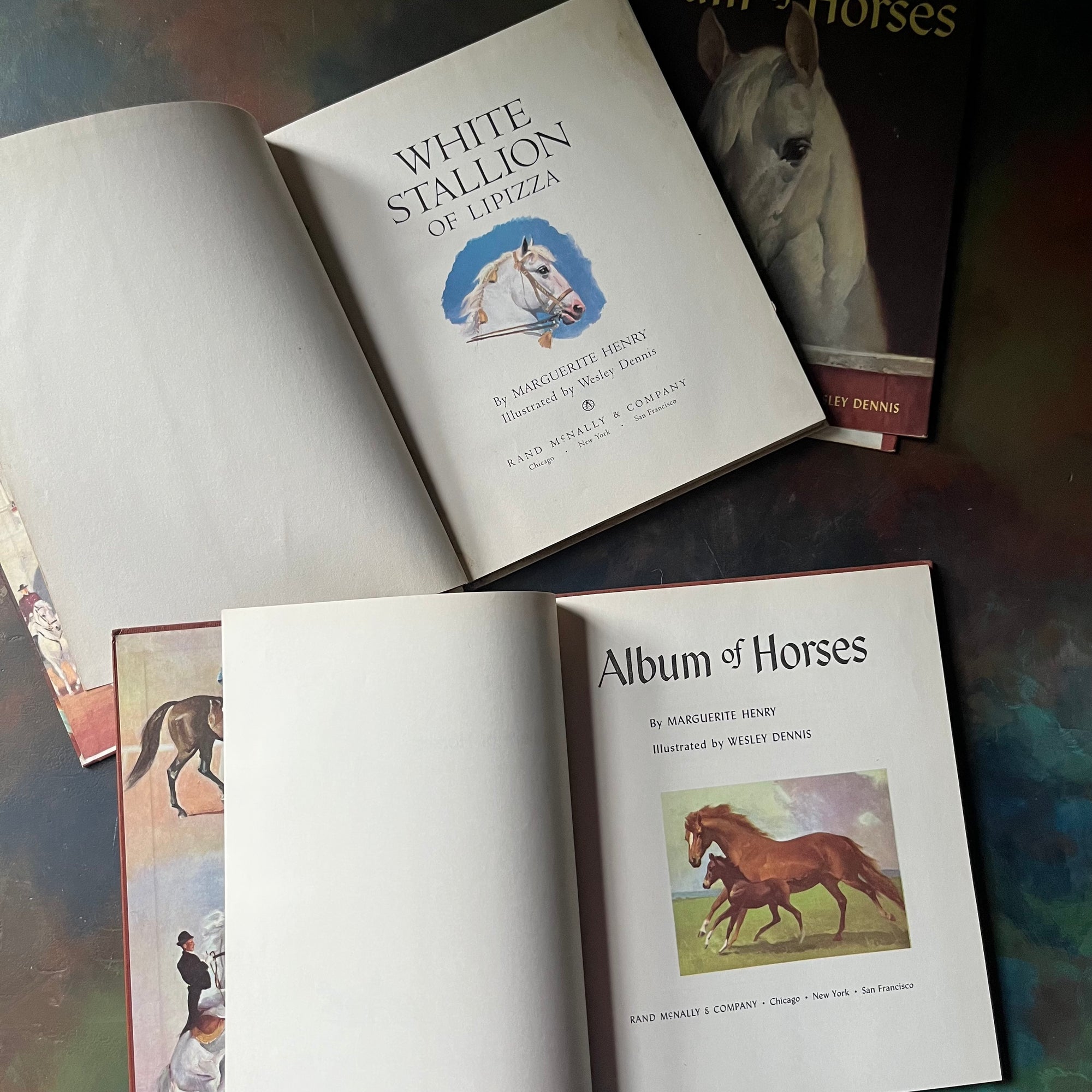 Album of Horses and White Stallion of Lipizza by Marguerite Henry-illustrated by Wesley Dennis-vintage horse books for kids-view of the title pages