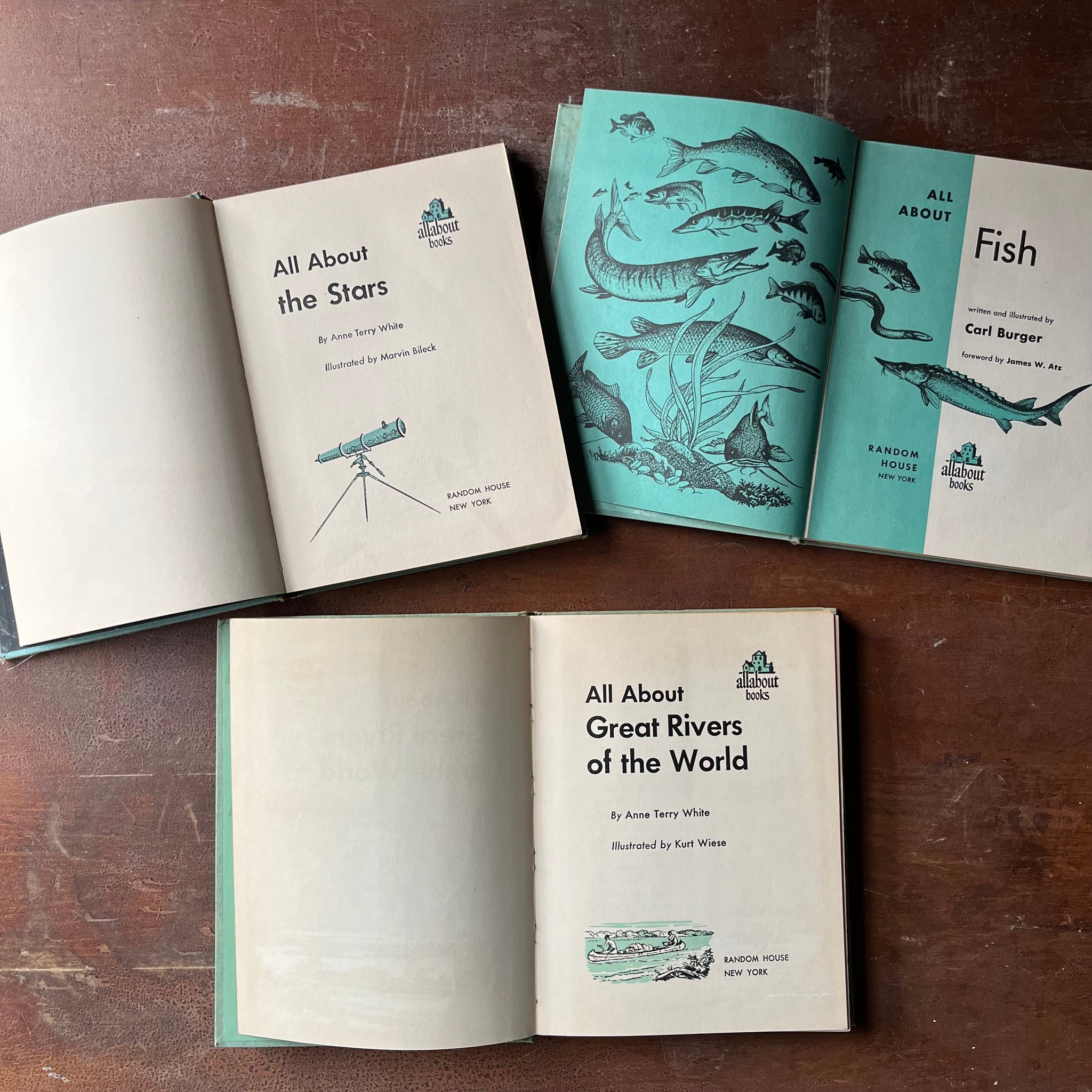 Set of Three All About Books: The Great Rivers of the World, Fish & Th ...