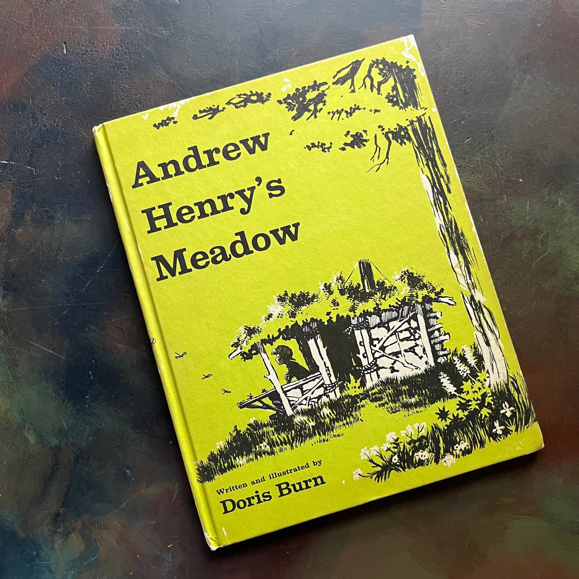 Andrew Henry's Meadow written & illustrated by Doris Burn-vintage children's picture book-1965 Weekly Reader Edition-view of the front cover