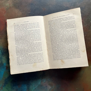 Antique Red Book with Decorative Spine & Cover-Outre-Mer written by Paul Bourget-antique novel-collectible book-view of the inside content