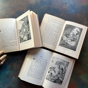 A set of three illustrated Thornton Burgess Bedtime Story-Books written by Thornton W. Burgess with illustrations by Harrison Cady-The Adventures of Sammy Jay, The Adventures of Unc' Billy Possum and the Adventures of Mr. Mocker-family favorite read-alouds-view of the illustrations