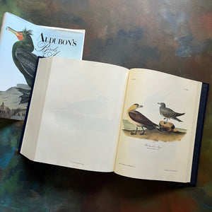 Audubon's Birds of America by John James Audubon-The Royal Octavo Edition-500 bird prints in one book-view of the illustrations