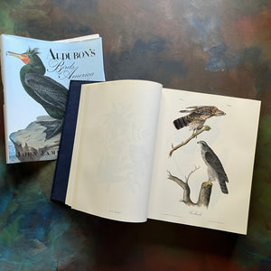 Audubon's Birds of America by John James Audubon-The Royal Octavo Edition-500 bird prints in one book-view of the illustrations