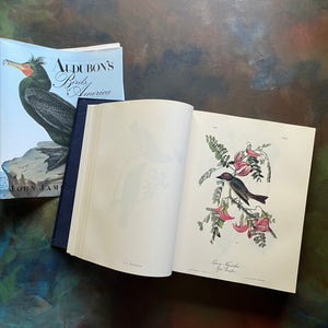 Audubon's Birds of America by John James Audubon-The Royal Octavo Edition-500 bird prints in one book-view of the illustrations