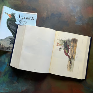 Audubon's Birds of America by John James Audubon-The Royal Octavo Edition-500 bird prints in one book-view of the illustrations