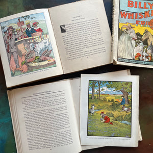 Billy Whiskers at the Fair and Billy Whiskers Friends-antique illustrated children's chapter books-Frances Trego Montgomery-view of the color illustrations