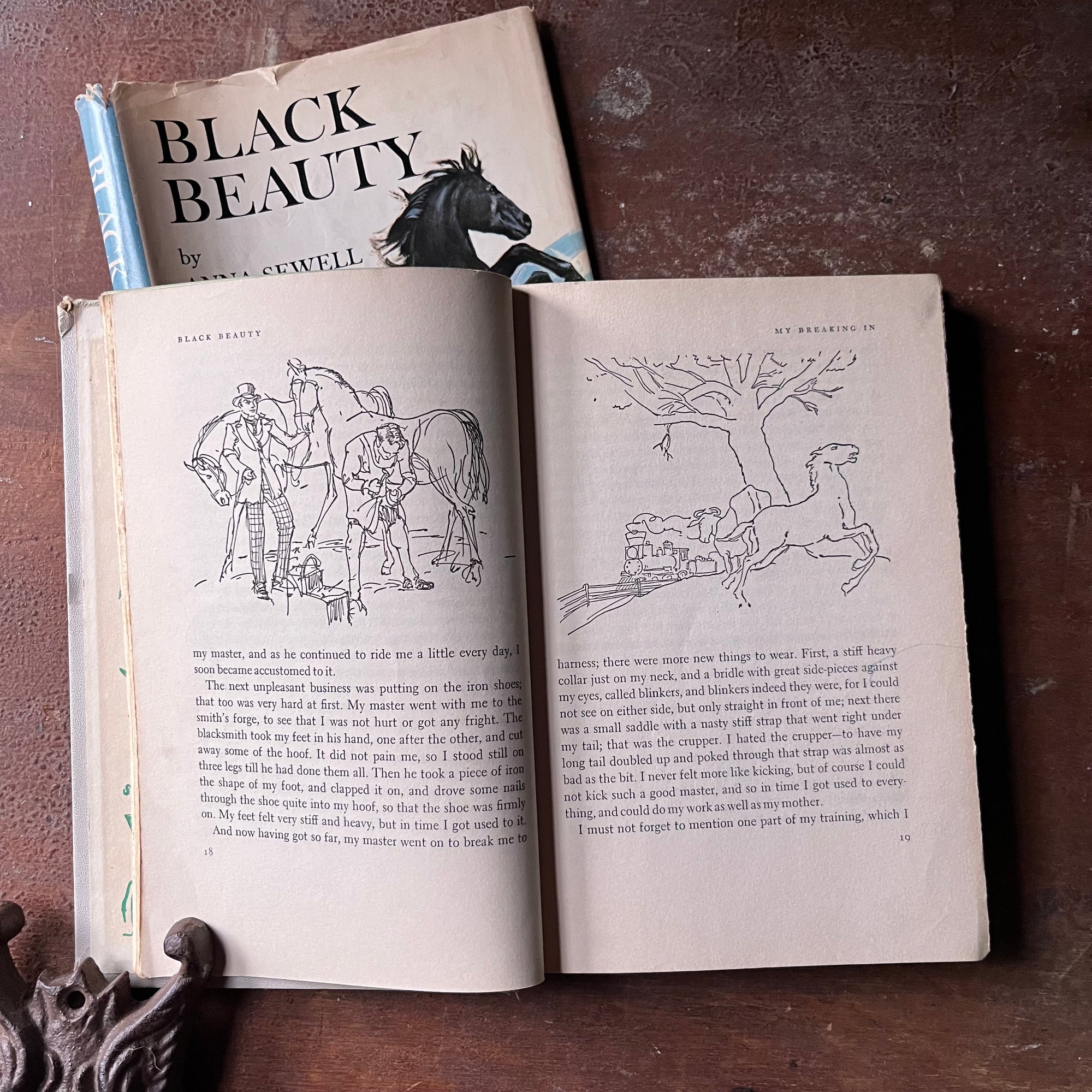 vintage children's chapter book, classic literature, horse story, Junior Deluxe Editions - Black Beauty written by Anna Sewell with illustrations by Walter Seaton - view of the illustrations