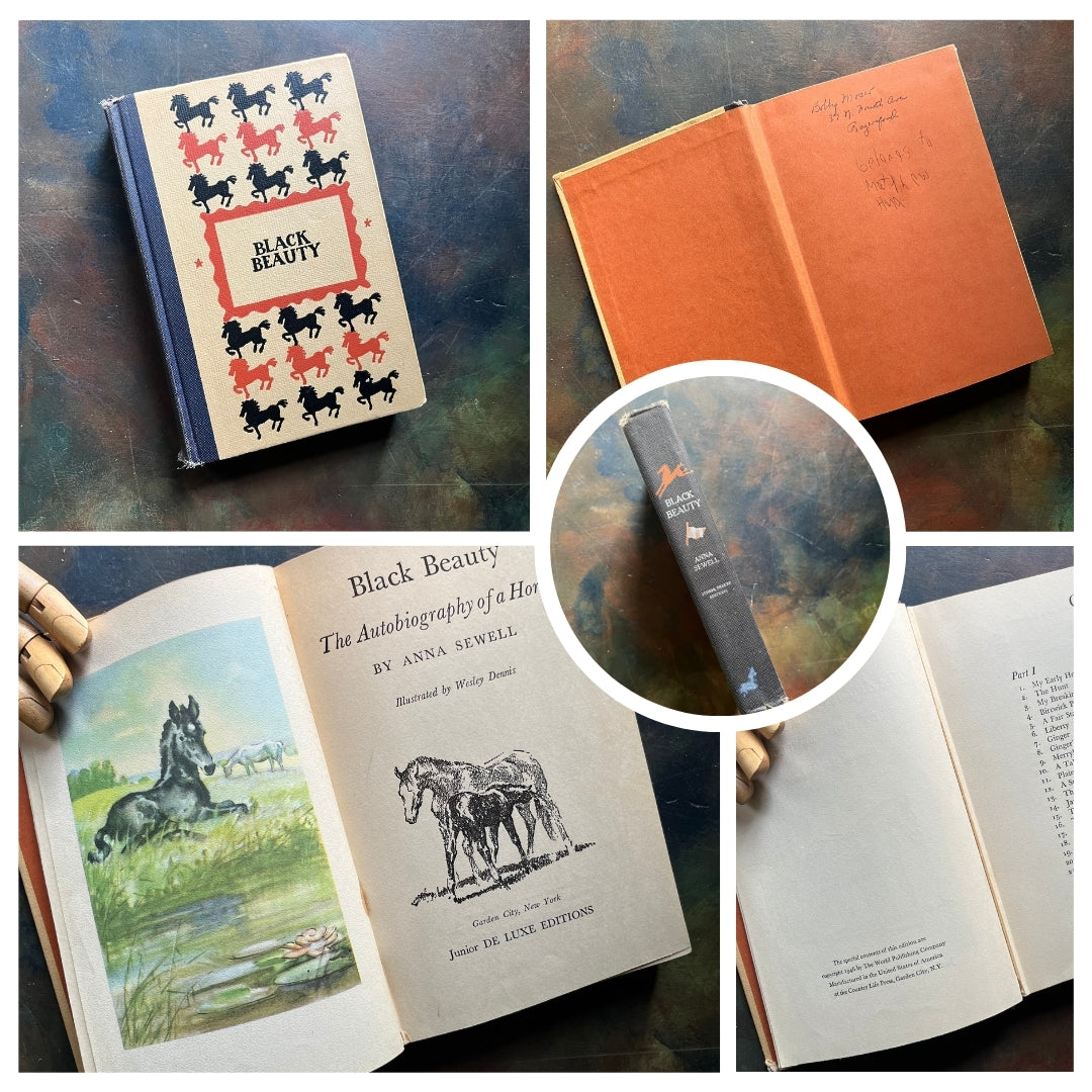 A collage of Junior Deluxe Edition books showing the cover, inside cover, spine, title page and copyright page of the book Black Beauty by Anna Sewell - vintage children's classic literature books-collectible children's books-rainbow book spines