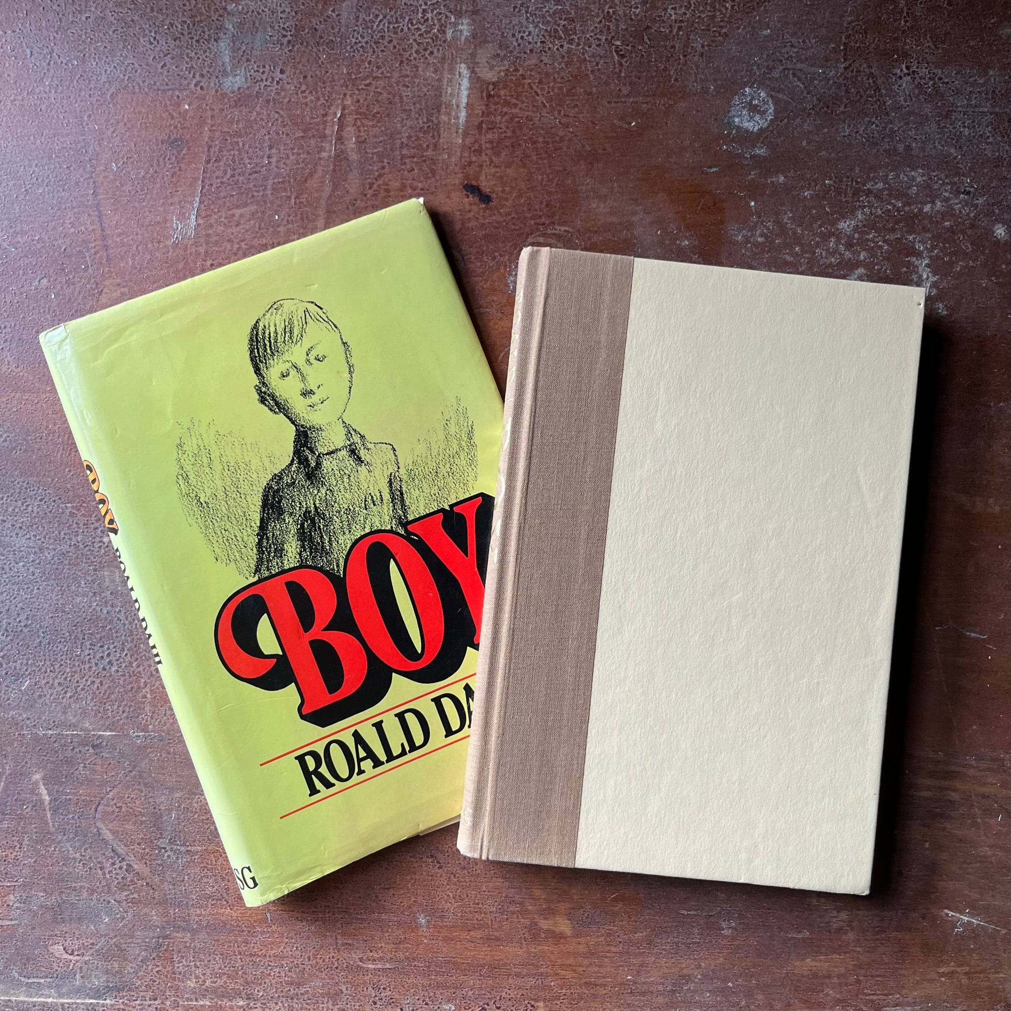 Boy An Autobiography Written by Roald Dahl - Log Cabin Vintage