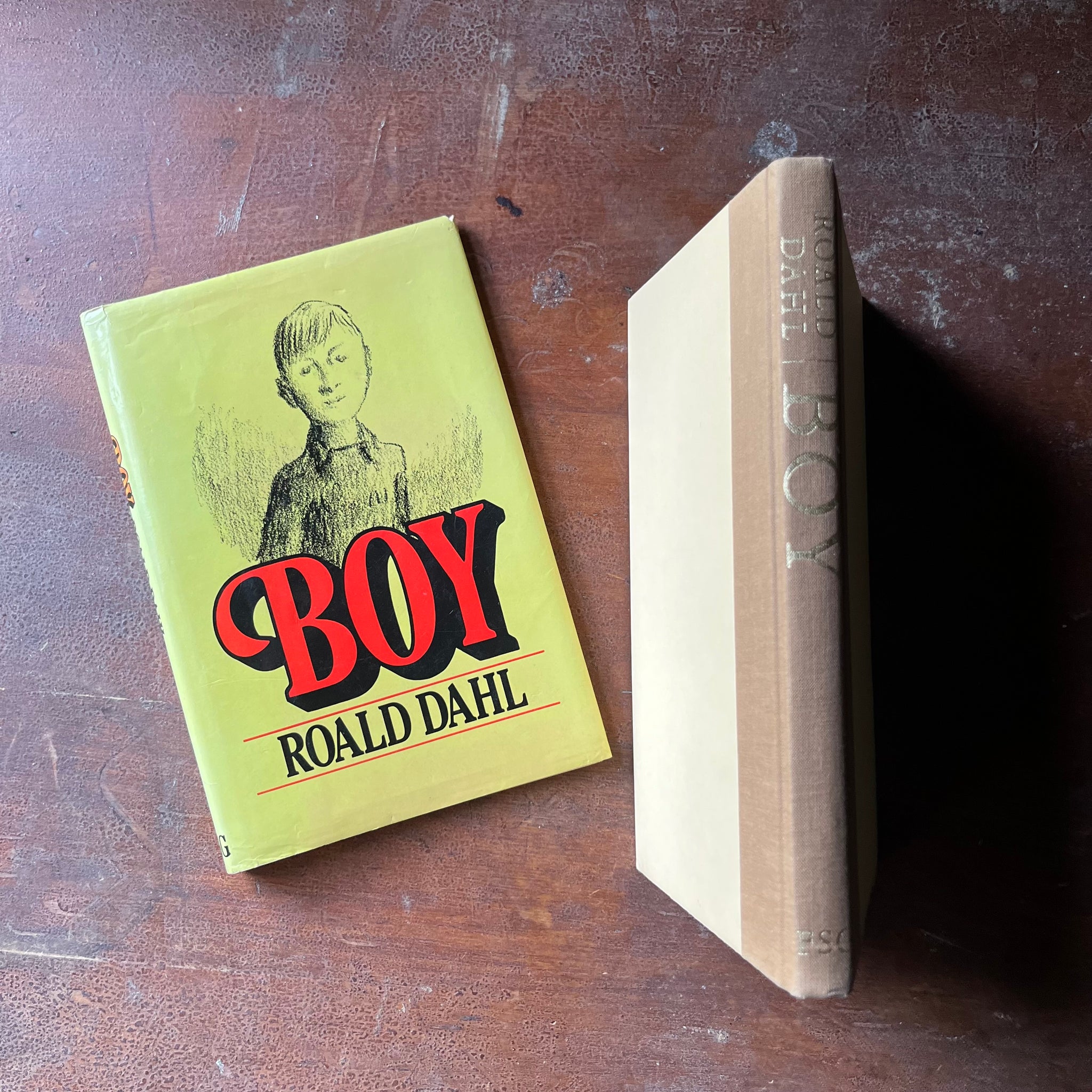 Boy An Autobiography Written by Roald Dahl - Log Cabin Vintage