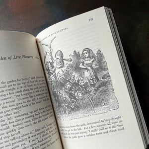 Children's Classics Six Book Set-Robin Hood-The Adventures of Tom Sawyer-Arabian Nights-Alice in Wonderland-Robinson Crusoe-Andersen's Fairy Tales-classic literature every child should read-view of the illustrations