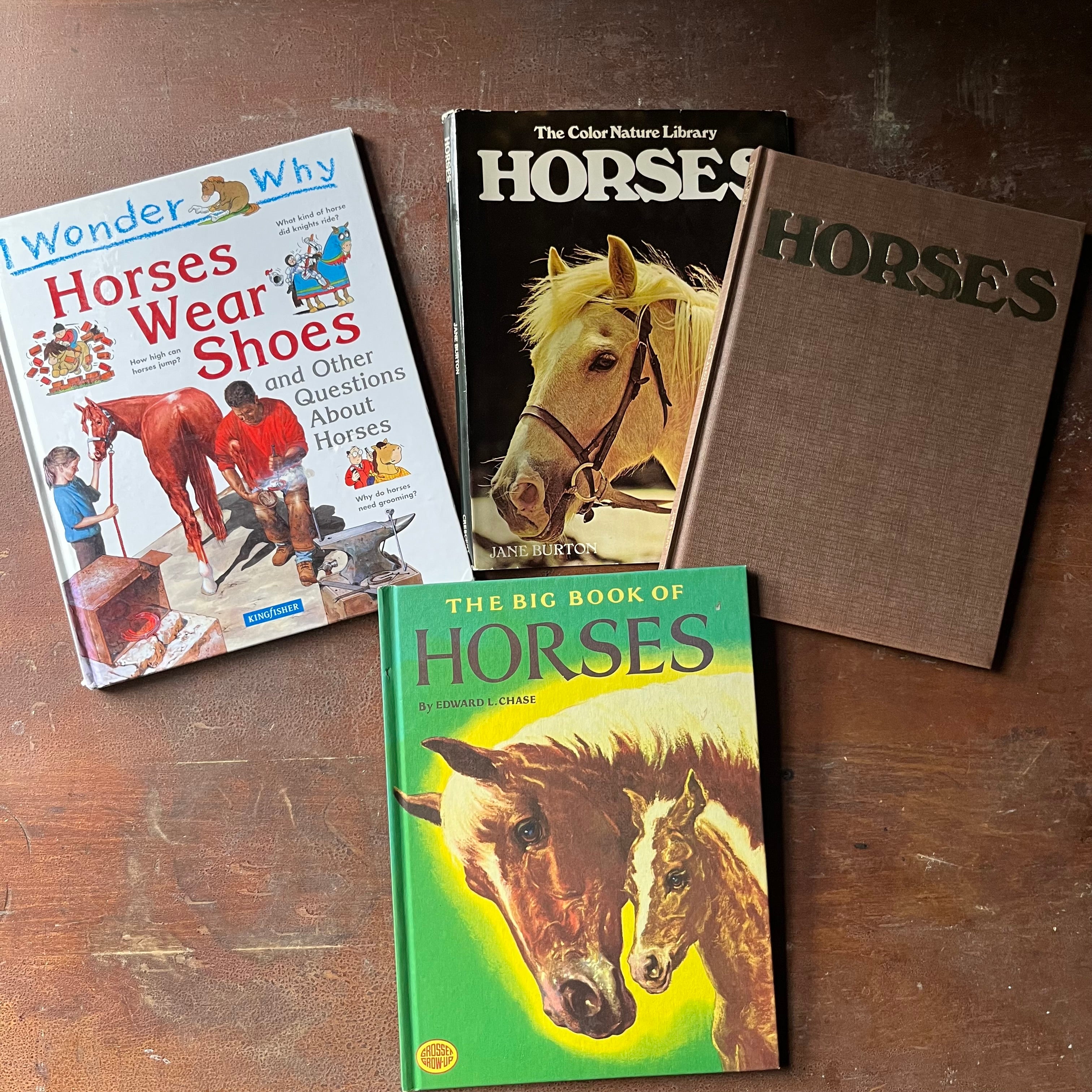 vintage horse books, vintage children's picture books, Children's Horse Book Set-The Color Nature Library Horses, The Big Book of Horses & I Wonder Why Horses Wear Shoes - view of the front covers
