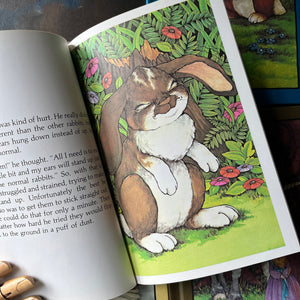 Collection of 7 Serendipity books written by Stephen Cosgrove with illustrations by Robin James -1980's kid's books-view of the illustrations by Robin James