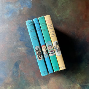 Companion Library 4 Book Set-Black Beauty, Call of the Wild, Treasure Island and Gulliver's Travels-vintage adventure books for kids-view of the spines