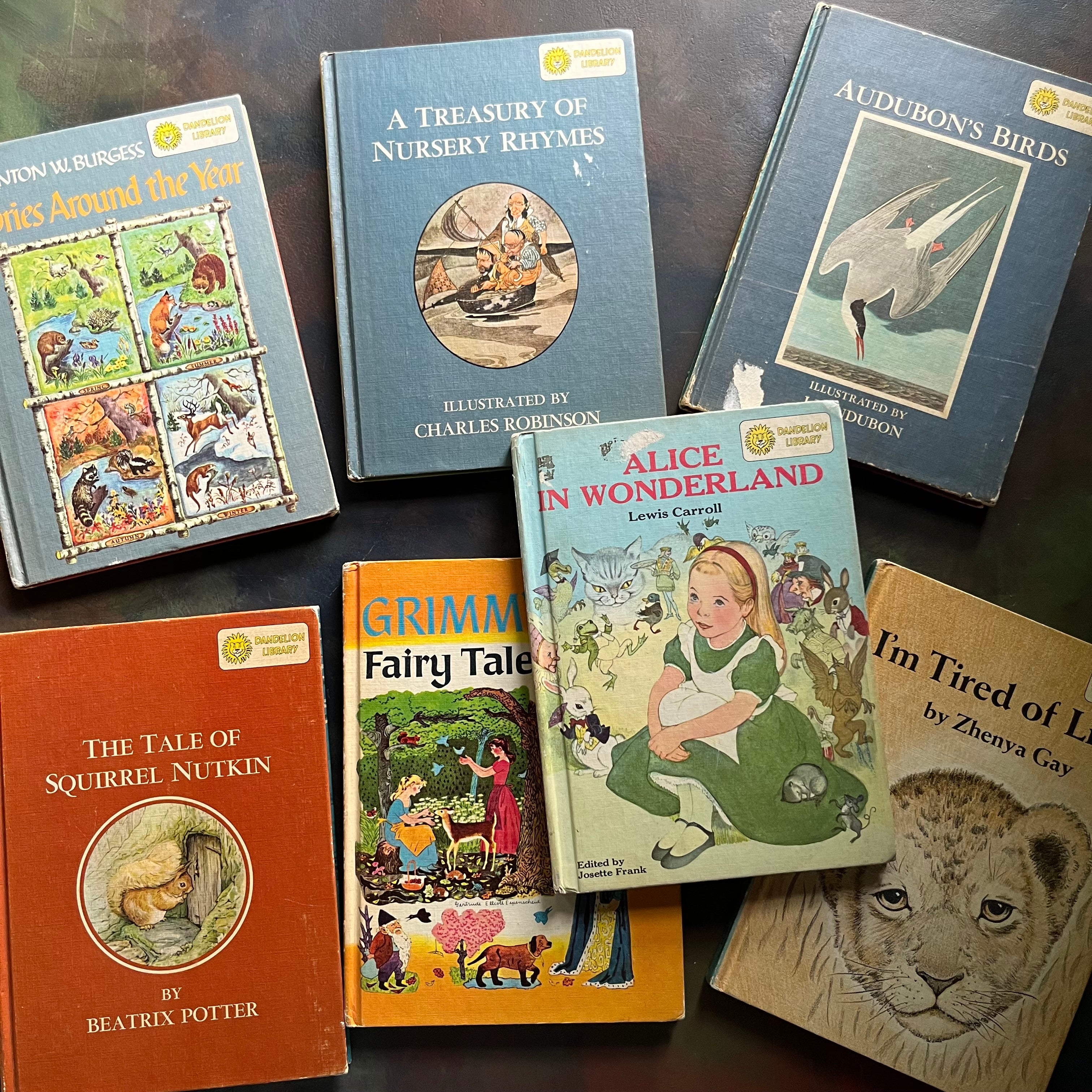 Dandelion Library Book Set of 7-vintage children's chapter books-classic children's literature-view of the front covers