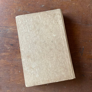 Der Vogel im Kafig (The Bird in the Cage) by Lisa Wenger-antique novel-view of the back cover