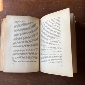 Der Vogel im Kafig (The Bird in the Cage) by Lisa Wenger-antique novel-view of the contents in German
