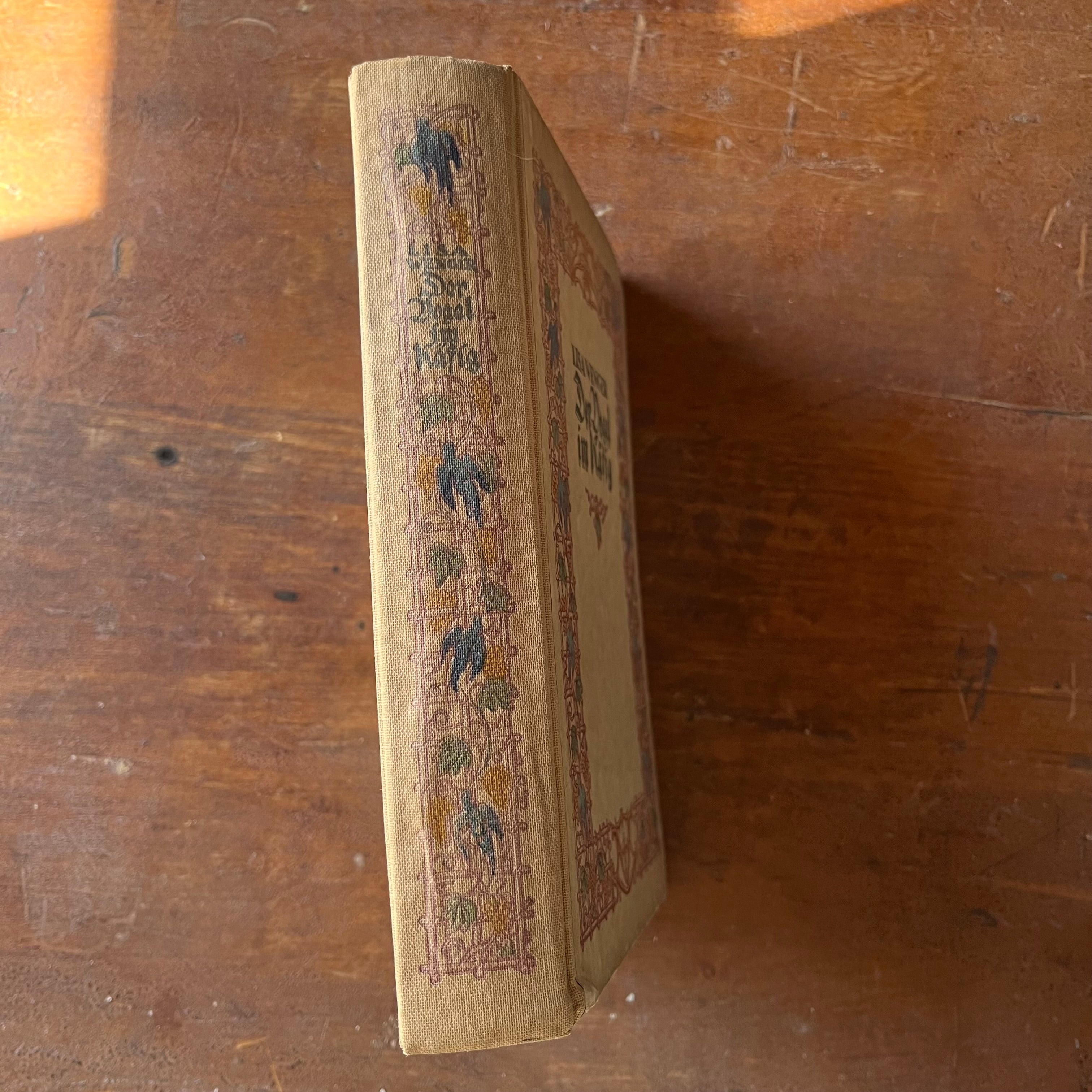 Der Vogel im Kafig (The Bird in the Cage) by Lisa Wenger-antique novel-view of the spine with the same design as the front