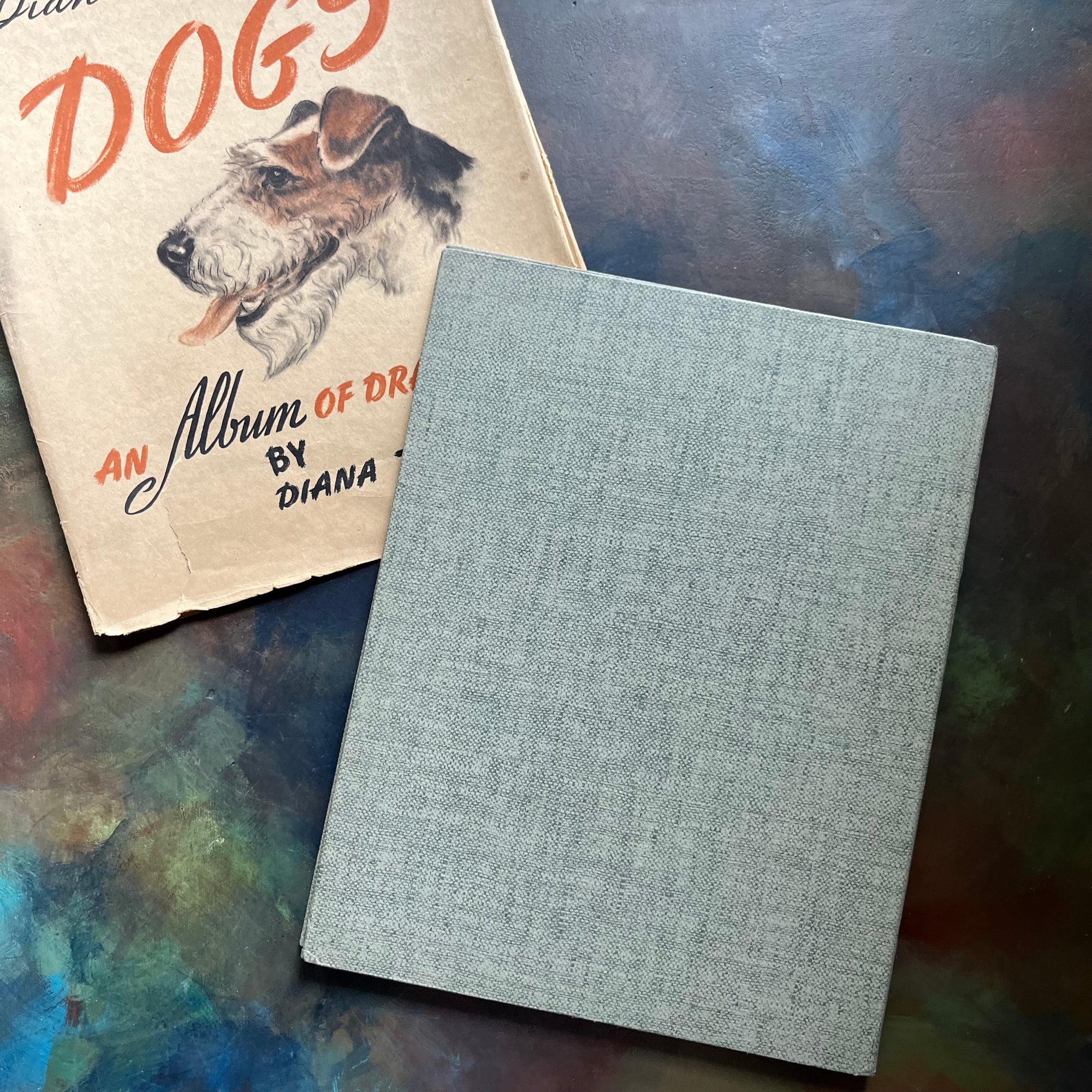 Diana Thorne's Dogs-An Album of Drawings-antique dog prints book-vintage dog art-view of the back cover