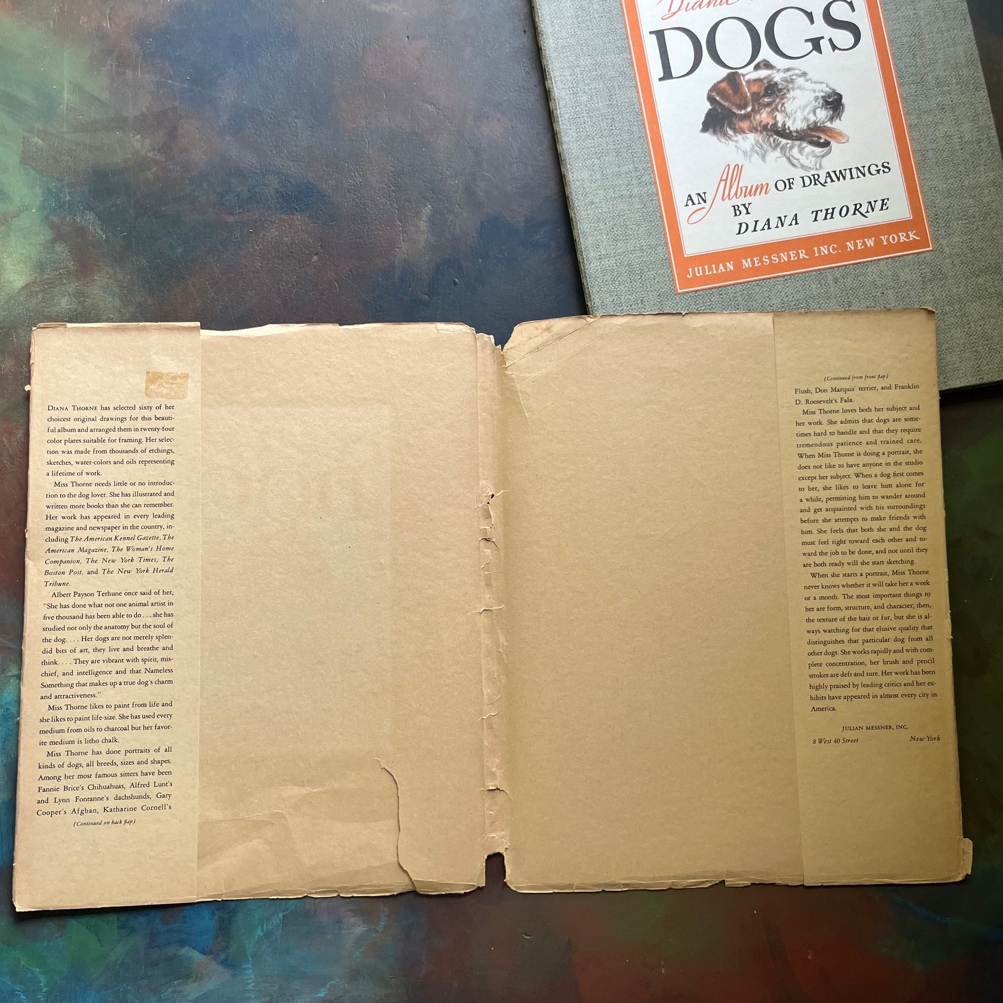 Diana Thorne's Dogs-An Album of Drawings-antique dog prints book-vintage dog art-view of the dust jacket's inside flaps