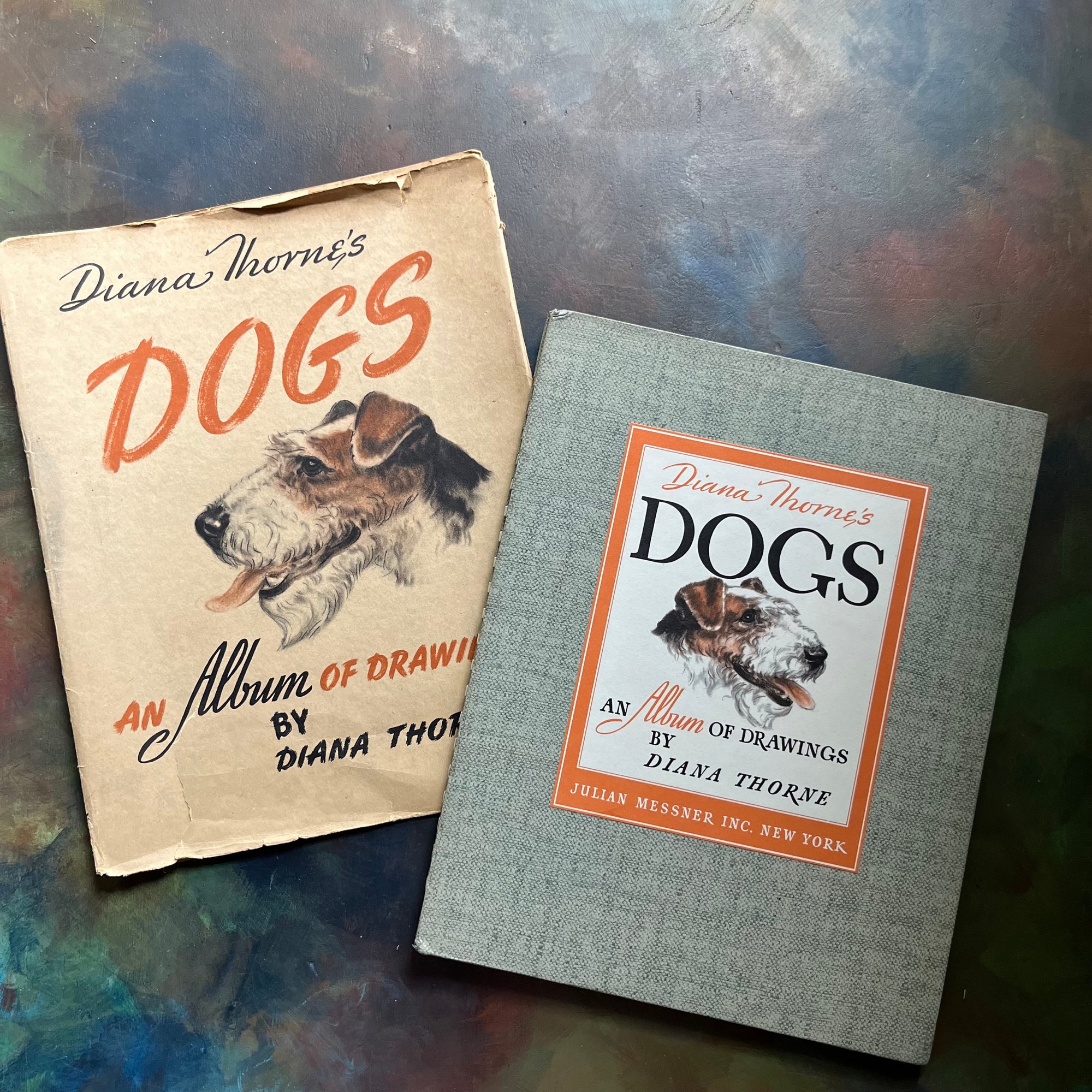 Diana Thorne's Dogs-An Album of Drawings-antique dog prints book-vintage dog art-view of the clothbound front cover with just jacket cover in background both showing the image of the same dog