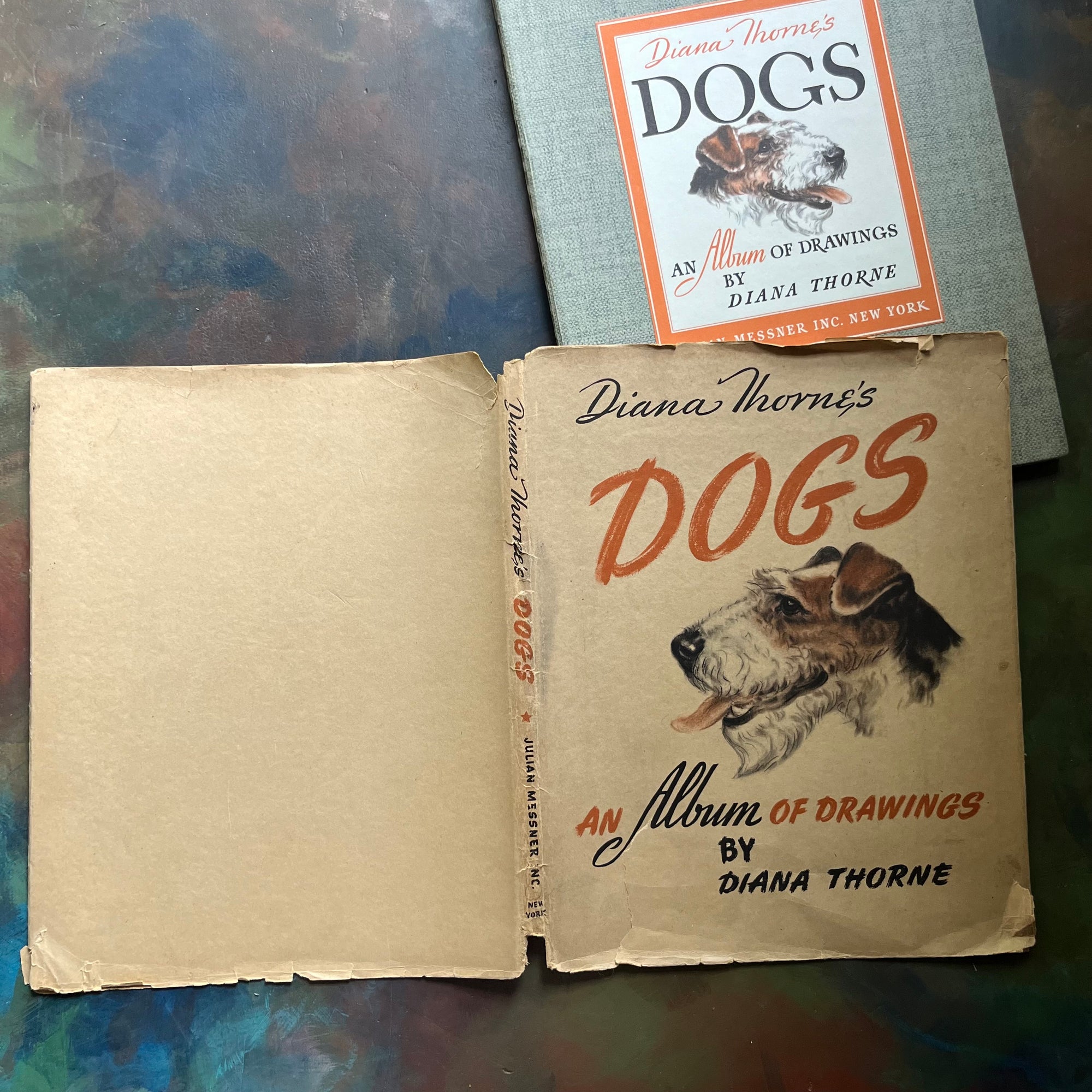 Diana Thorne's Dogs-An Album of Drawings-antique dog prints book-vintage dog art-view of the front & back of the dust jacket