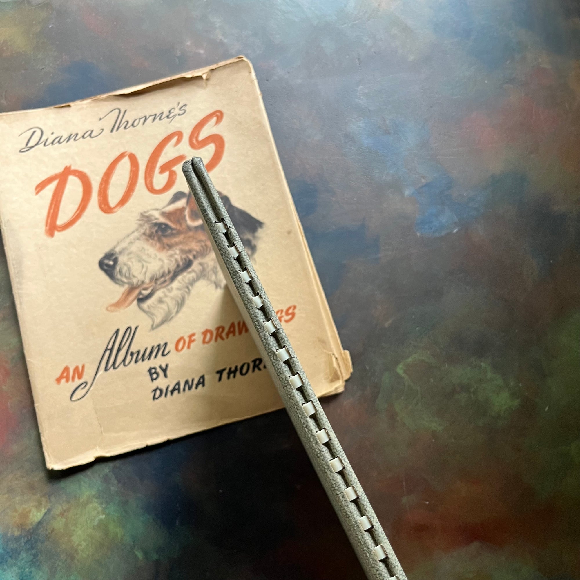 Diana Thorne's Dogs-An Album of Drawings-antique dog prints book-vintage dog art-view of the spiral binding