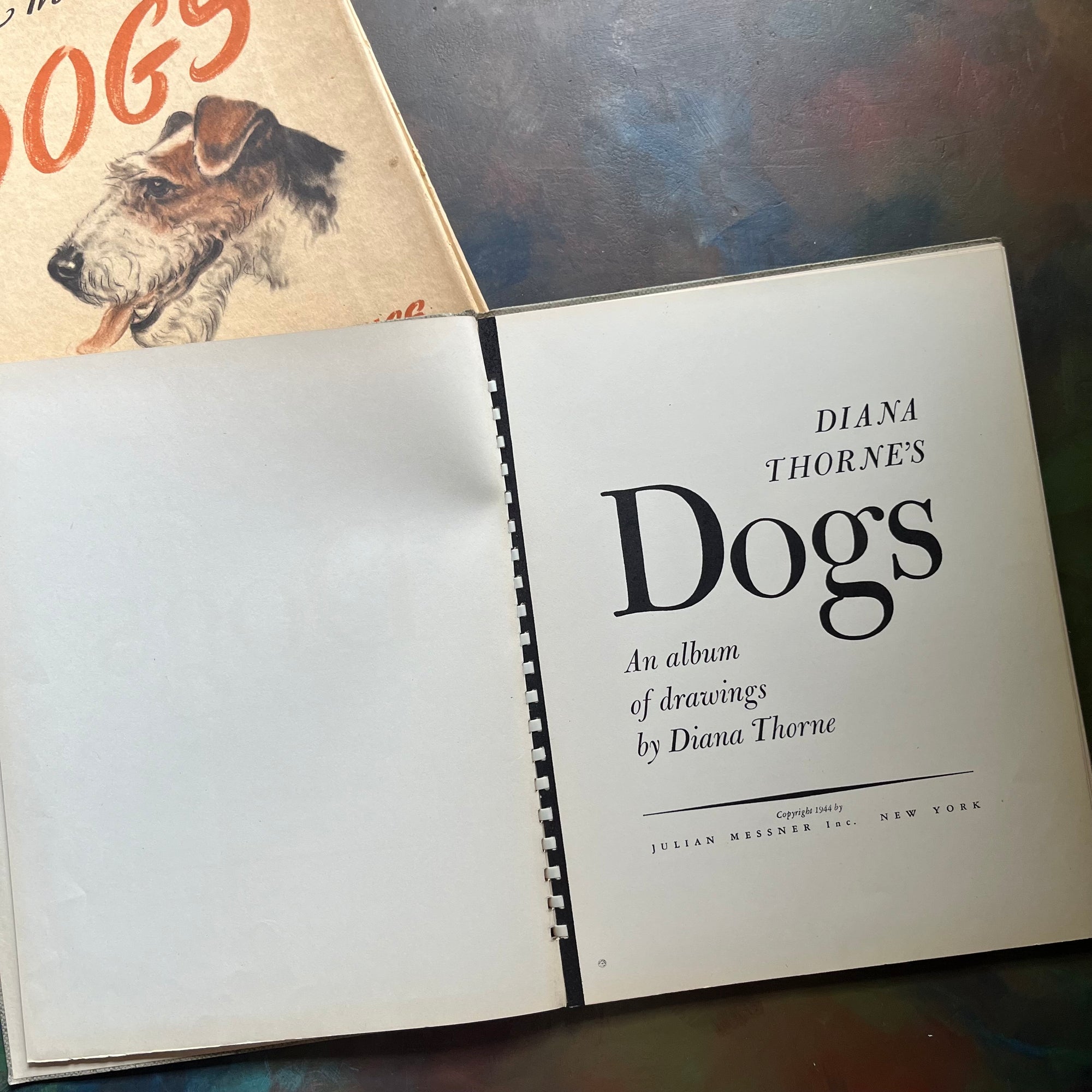 Diana Thorne's Dogs-An Album of Drawings-antique dog prints book-vintage dog art-view of the title page with copyright date