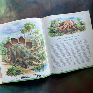 Dinosaurs and Other Prehistoric Reptiles written by Jane Werner Watson with illustrations by Rudolph F. Zallinger-A Giant Golden Book-1960's children's picture book-living science book for children-view of the illustrations