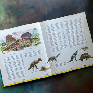 Dinosaurs and Other Prehistoric Reptiles written by Jane Werner Watson with illustrations by Rudolph F. Zallinger-A Giant Golden Book-1960's children's picture book-living science book for children-view of the illustrations