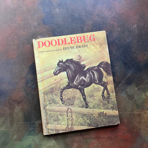 Doodlebug written and illustrated by Irene Brady was part of the vintage Weekly Reader Book Series for children transitioning from picture books to chapter books-early chapter book-view of the front cover with a black stallion shown by a fence with a halter hanging on the fence