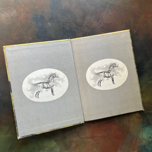 Doodlebug written and illustrated by Irene Brady was part of the vintage Weekly Reader Book Series for children transitioning from picture books to chapter books-early chapter book-view of the inside cover showing same image of the black stallion on both pages