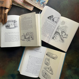 E.B. White Children's Book Set-Stuart Little-Charlotte's Web-The Trumpet of the Swan-illustrated by Garth Williams and Edward Frascino-vintage children's chapter books-view of the illustrations