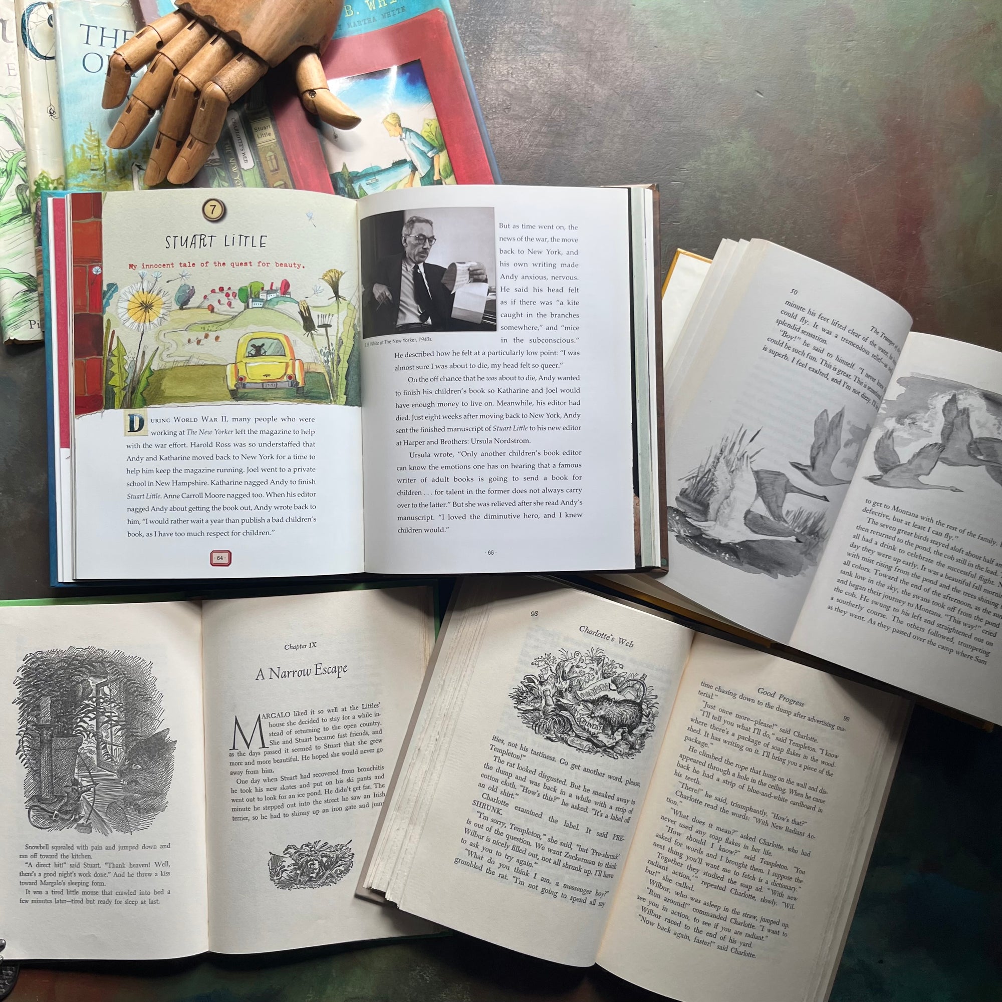 The Complete E. B. White Collection + Children's Biography