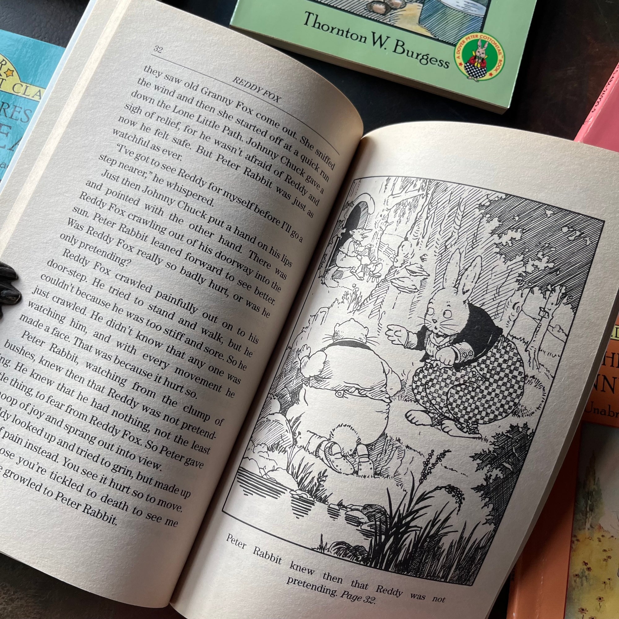 Favorite Thornton Burgess Stories Box Set-6 Complete Unabridged Stories written by Thornton W. Burgess with illustrations by Harrison Cady-vintage short stories for children-beginner reading books for children-view of the black & white illustration from Peter Cottontail.