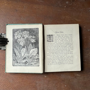 antique children's book - 1898 Altemus' Young People's Library Edition of Flower Fables by Louisa May Alcott - view of the illustrations by C. Barnes