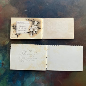 God is Light Text Book by F.R. Havergal and Bible Fear-Nots-religious encouragement-bible verses for 31 days-view of the back, inside covers