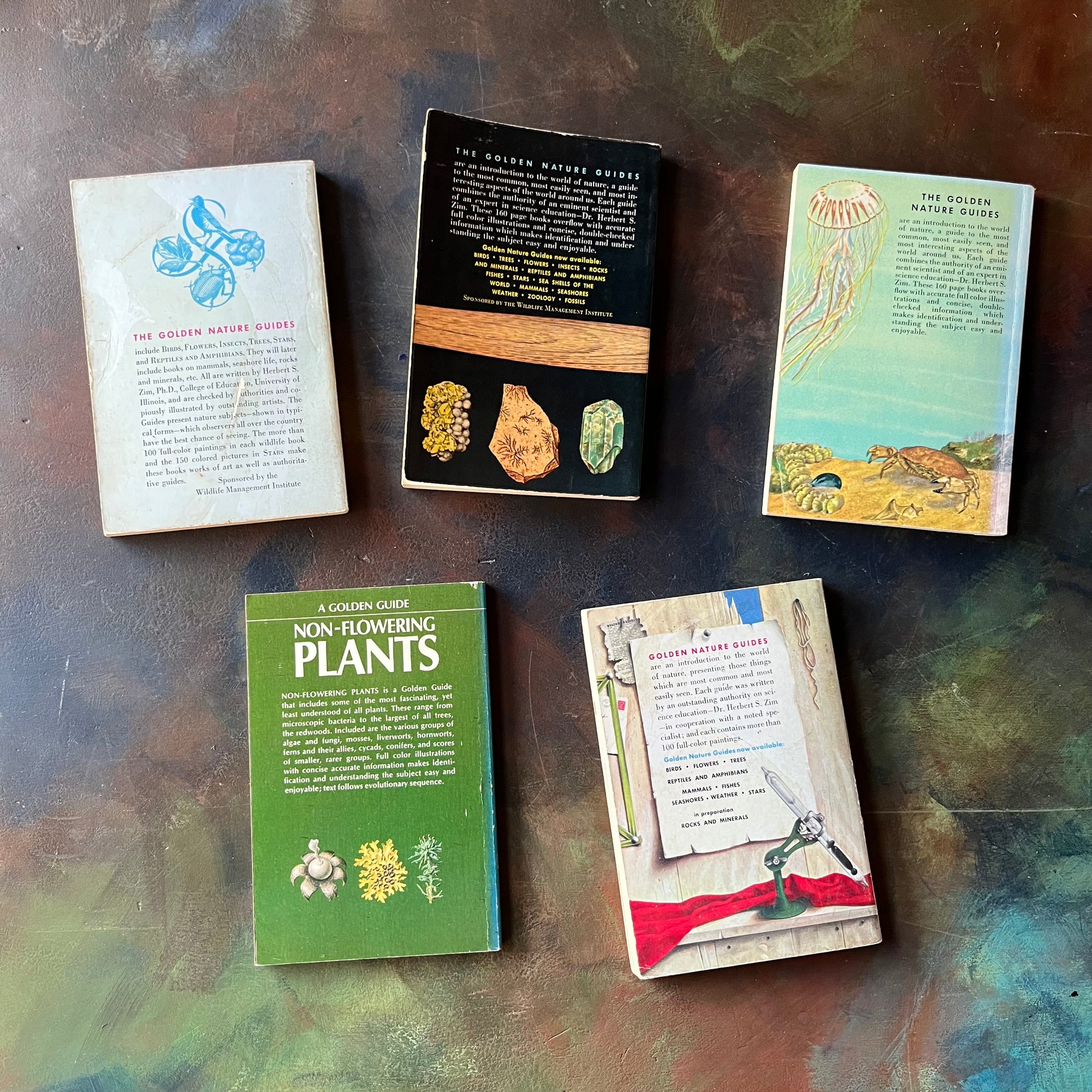 Golden Guides Set-Birds-Rocks & Minerals-Seashores-Non-Flowering Plants-Weather-vintage nature guides-vintage pocket nature guides-view of the back covers