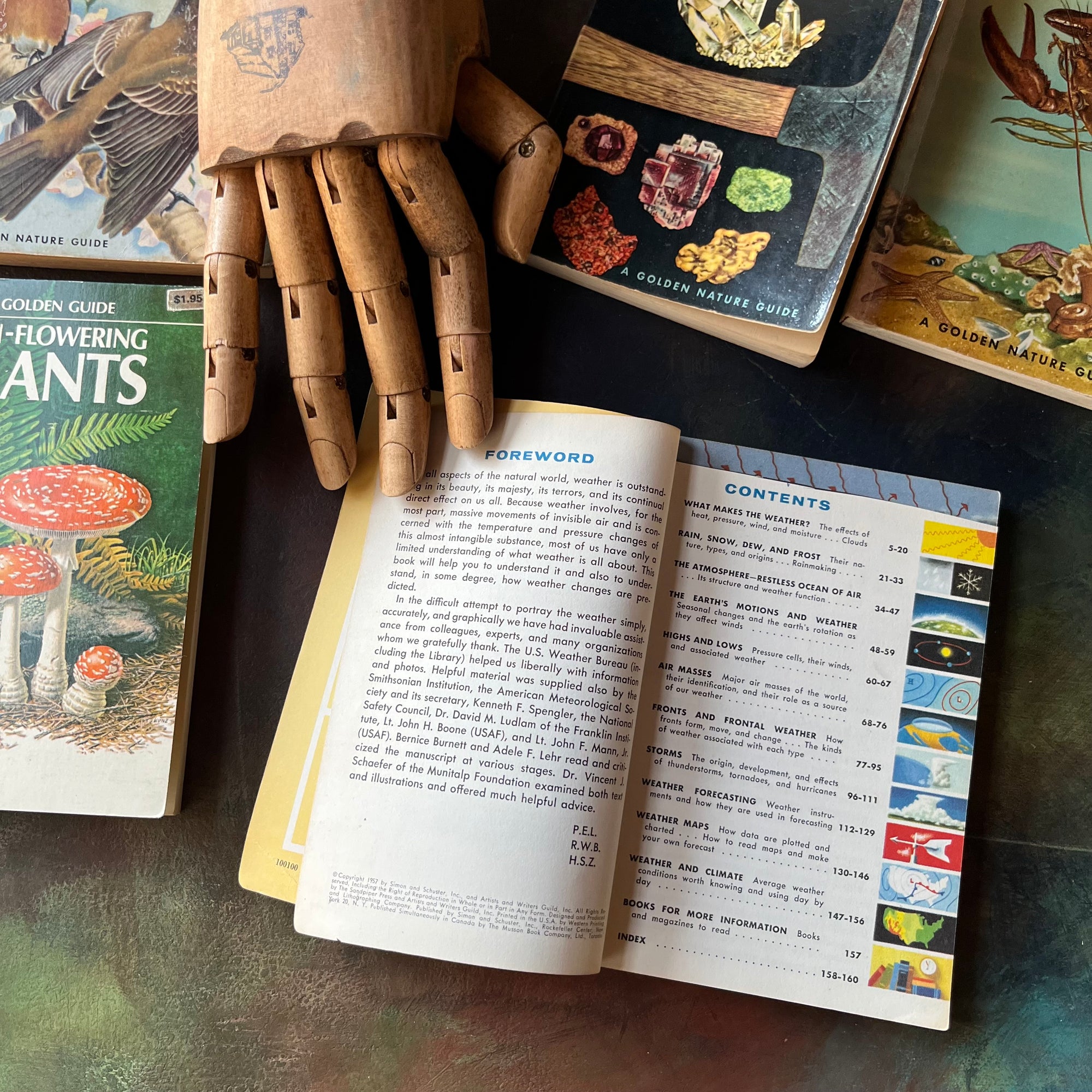 Golden Guides Set-Birds-Rocks & Minerals-Seashores-Non-Flowering Plants-Weather-vintage nature guides-vintage pocket nature guides-view of the copyright information
