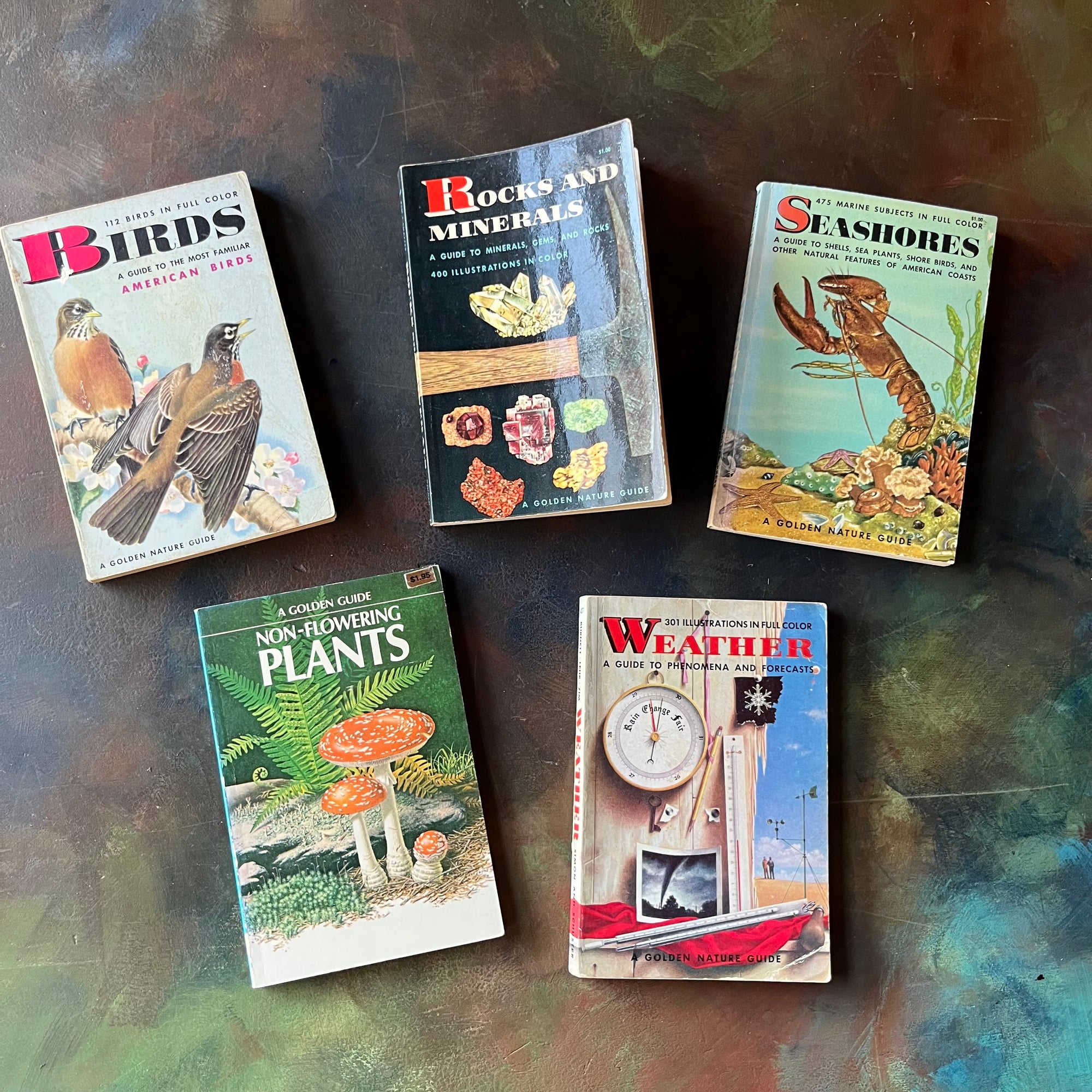 Golden Guides Set-Birds-Rocks & Minerals-Seashores-Non-Flowering Plants-Weather-vintage nature guides-vintage pocket nature guides-view of the front covers