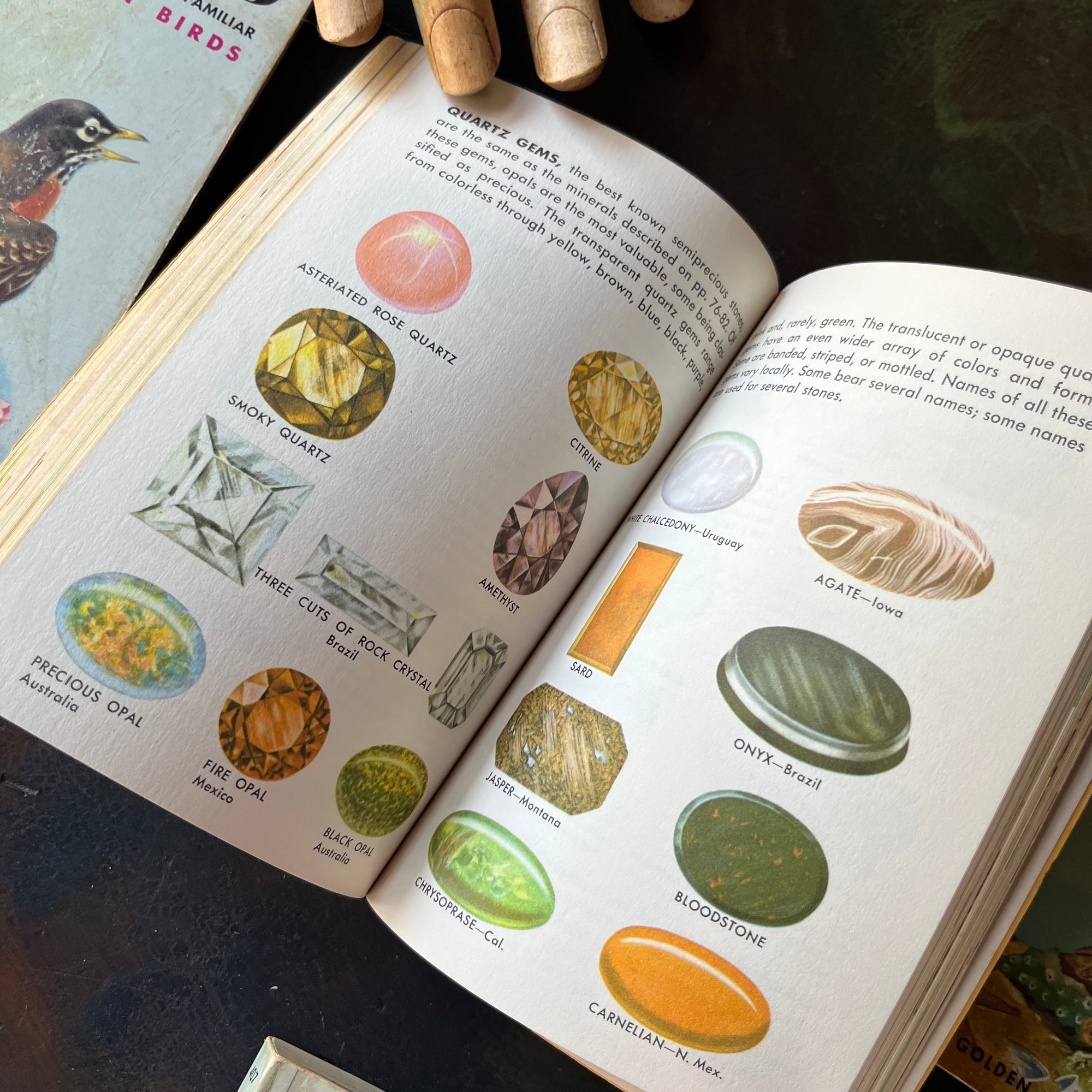 Golden Guides Set-Birds-Rocks & Minerals-Seashores-Non-Flowering Plants-Weather-vintage nature guides-vintage pocket nature guides-view of the illustrations