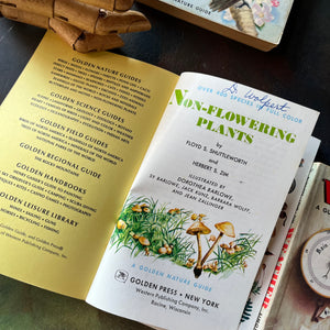 Golden Guides Set-Birds-Rocks & Minerals-Seashores-Non-Flowering Plants-Weather-vintage nature guides-vintage pocket nature guides-view of the title page